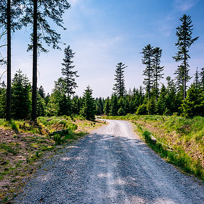 Spalona - sezon letni