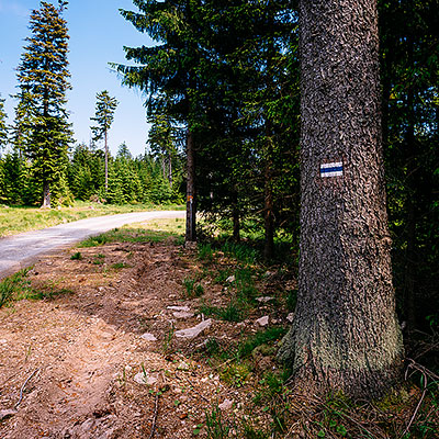 Spalona - sezon letni