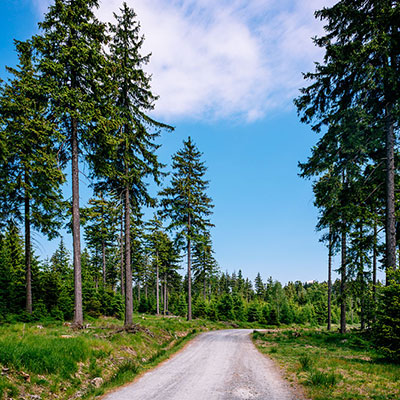 Spalona - sezon letni