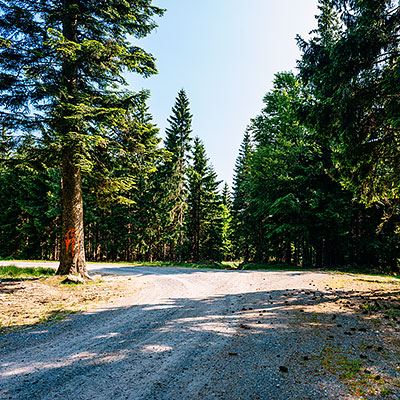 Spalona - sezon letni