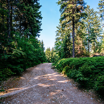 Spalona - sezon letni