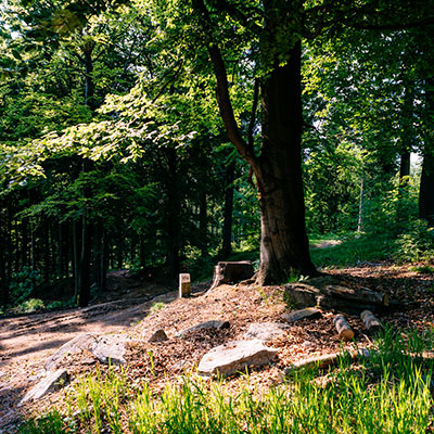 Spalona - sezon letni