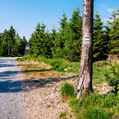 Spalona - sezon letni