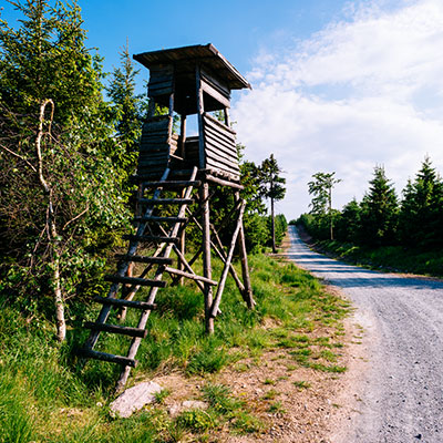 Spalona - sezon letni