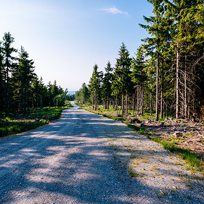 Spalona - sezon letni