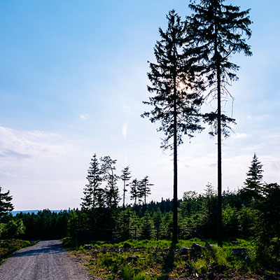 Spalona - sezon letni