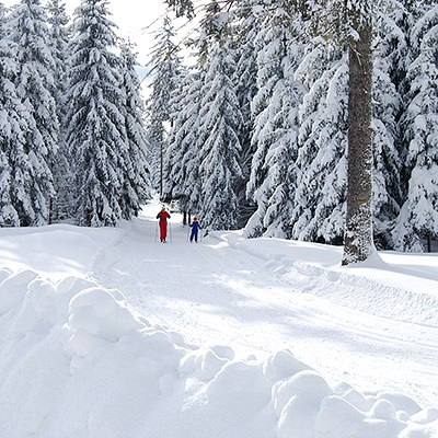 Spalona - sezon zimowy