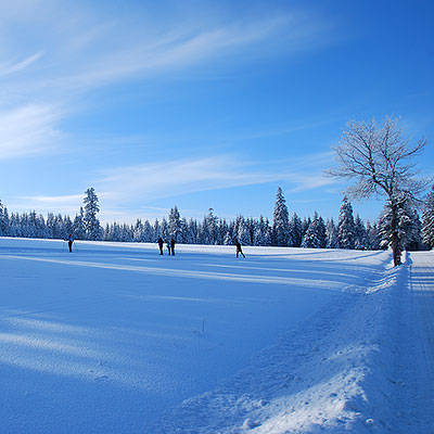 Spalona - sezon zimowy