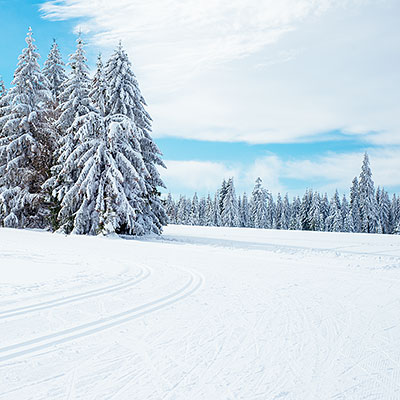 Spalona - sezon zimowy