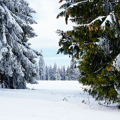 Spalona - sezon zimowy