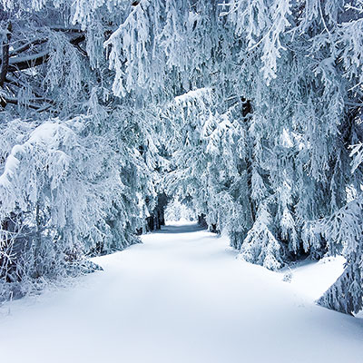 Spalona - sezon zimowy