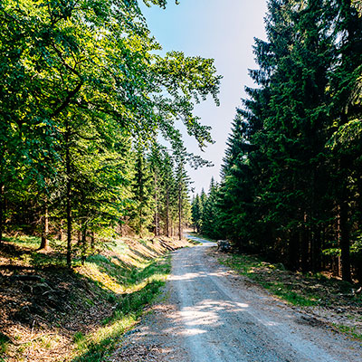 Spalona - turystyka piesza