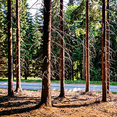 Spalona - turystyka piesza