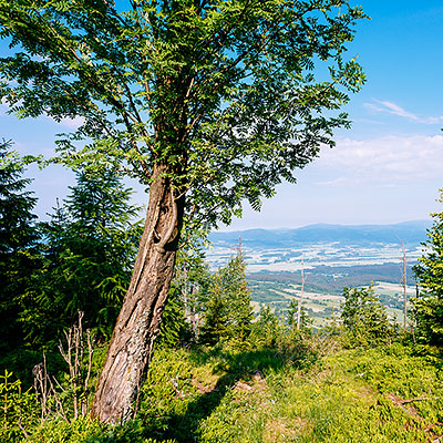 Spalona - turystyka piesza