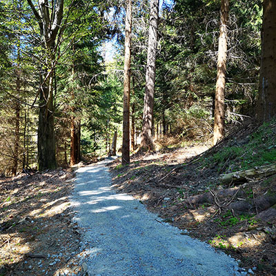 Singletrack Jagodna