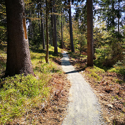 Singletrack Jagodna