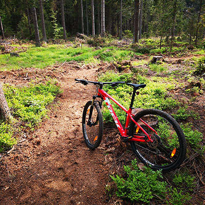 Singletrack Jagodna