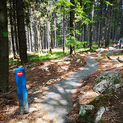 Singletrack Jagodna