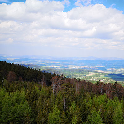 Wieża widokowa na Jagodnej